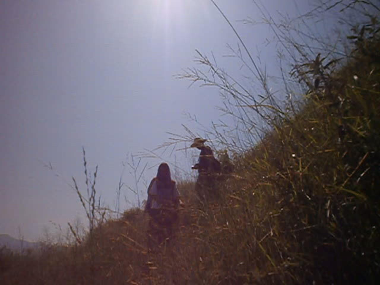 crossing rice field guizhou guanxi border region