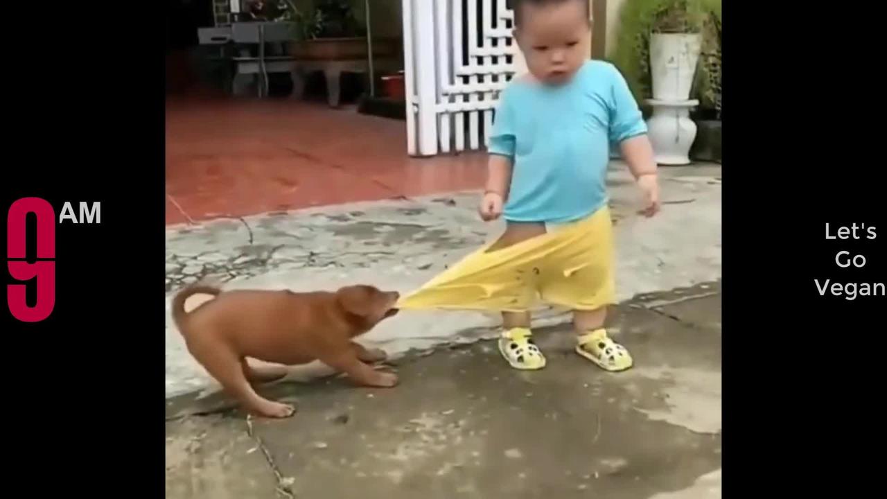 Try Not To Laugh Funny Videos - Funny Moments Of The Year Compilation 2022 😆😆😆