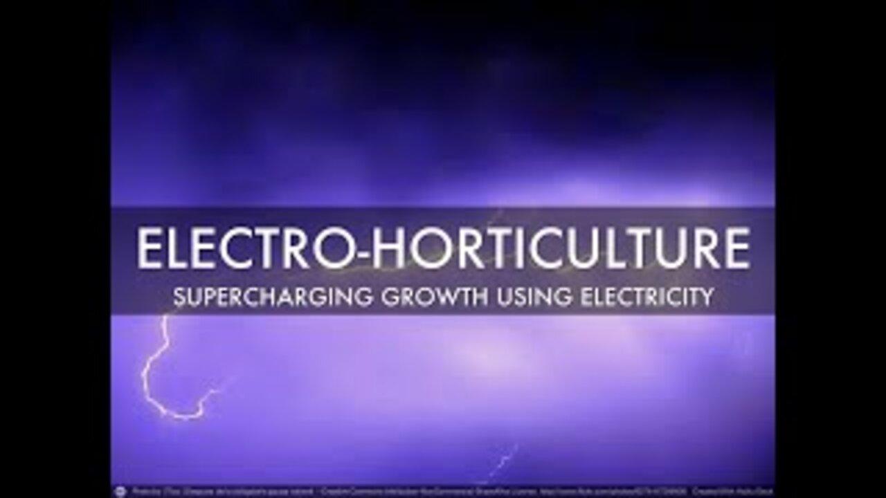 💥 What is Electroculture? Is This the Future of Farming? Will it Create Huge Crop Yields and Healthier Soils? (More info link