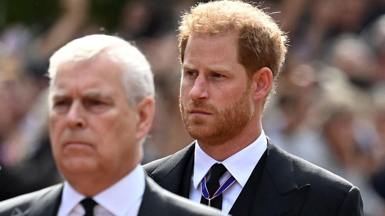 King Charles III plans to strip Princes Harry, Andrew of official role - Sky News Australia