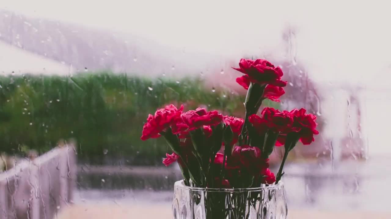 Relaxing soothing music soothing rain will let you relax.