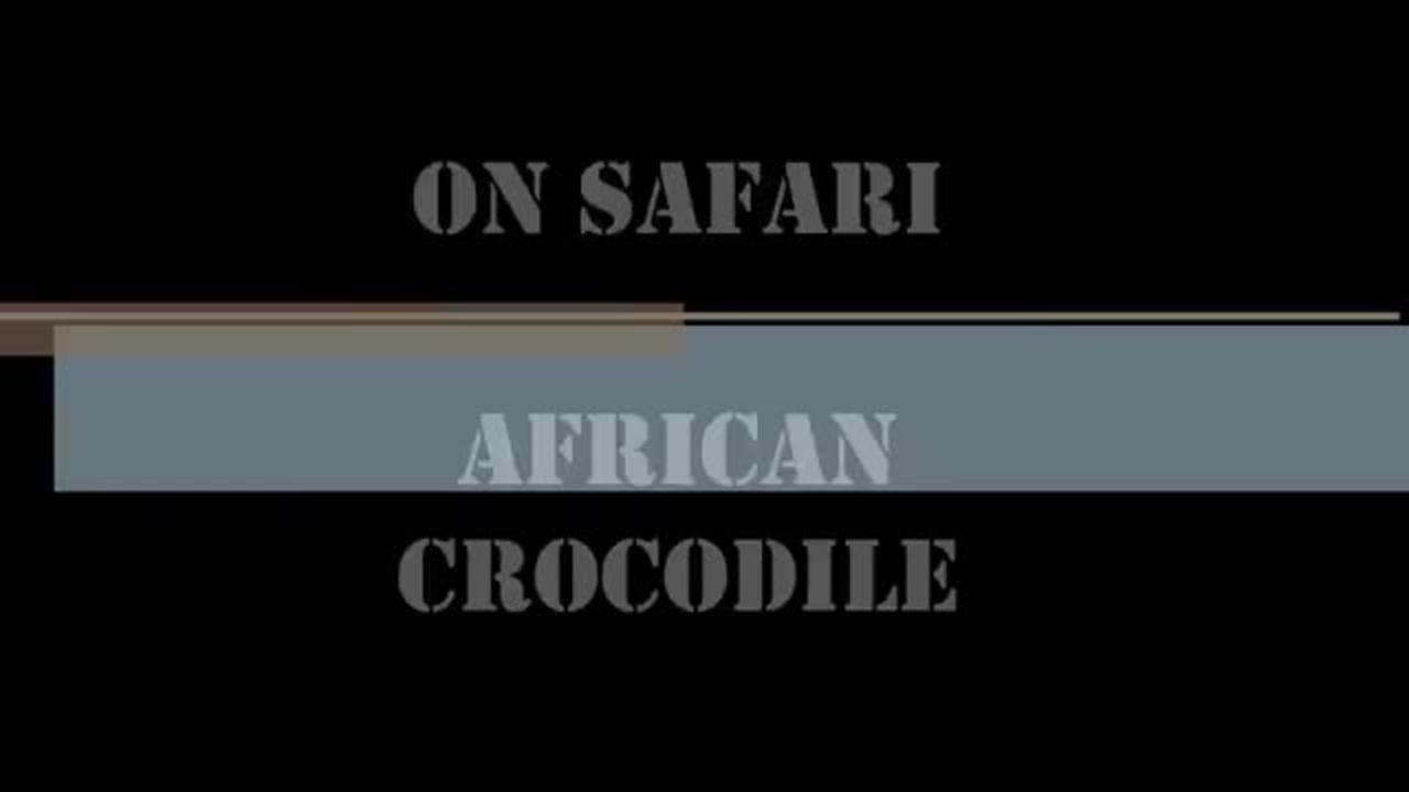 On Safari 26 (African Crocodile)_Cut.mp4