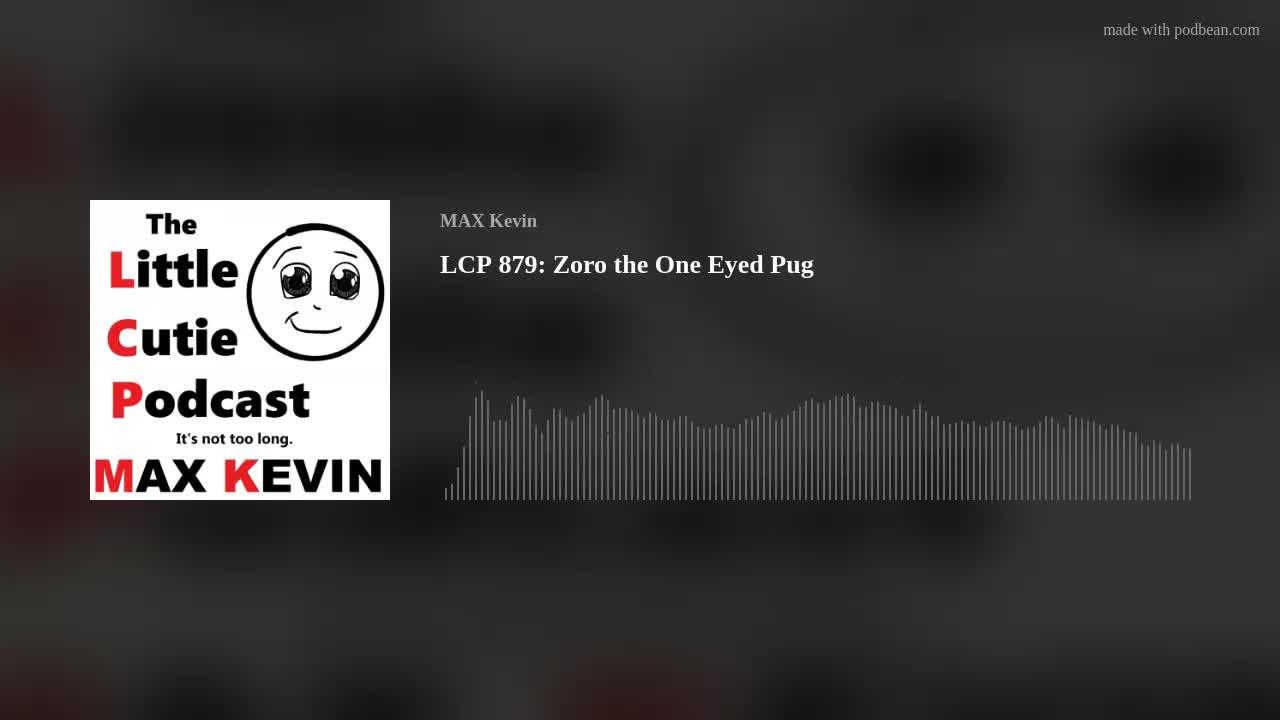 LCP 879: Zoro the One Eyed Pug