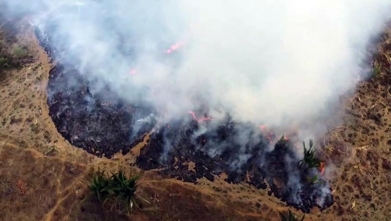 Wildfires race through Brazil's Amazonas state