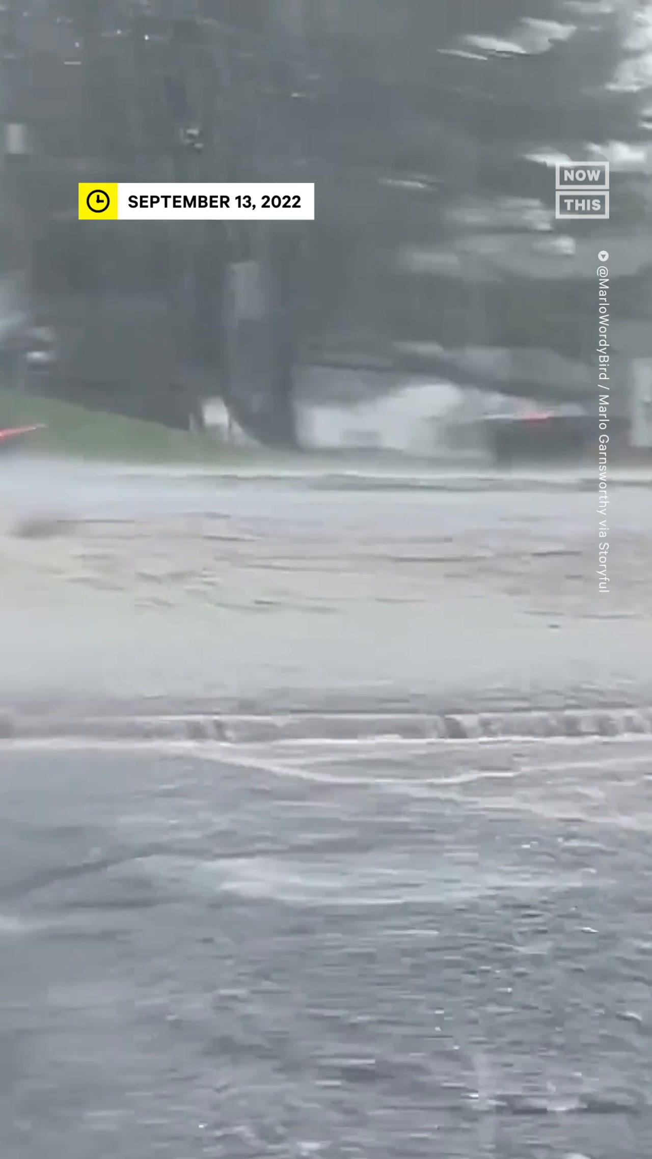 VW Beetle Attempts to Drive Through Flash Flood
