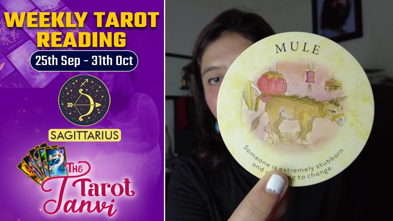 Sagittarius : Weekly Tarot Reading: 25th September- 31st October 2022 | Oneindia News