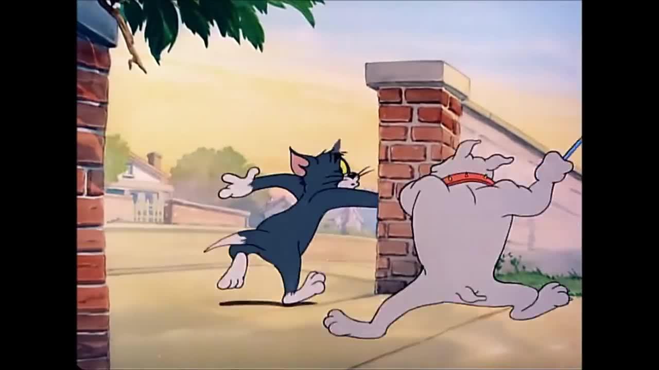 TOM AND JERRY [FUNNY VIDEO]