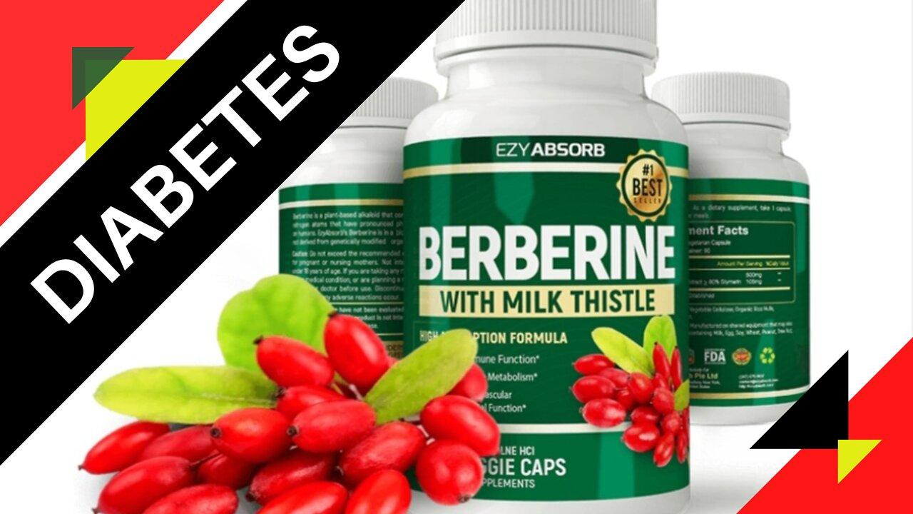 BERBERINE, come meet the product, ideal for people with DIABETES. Official site of the product.