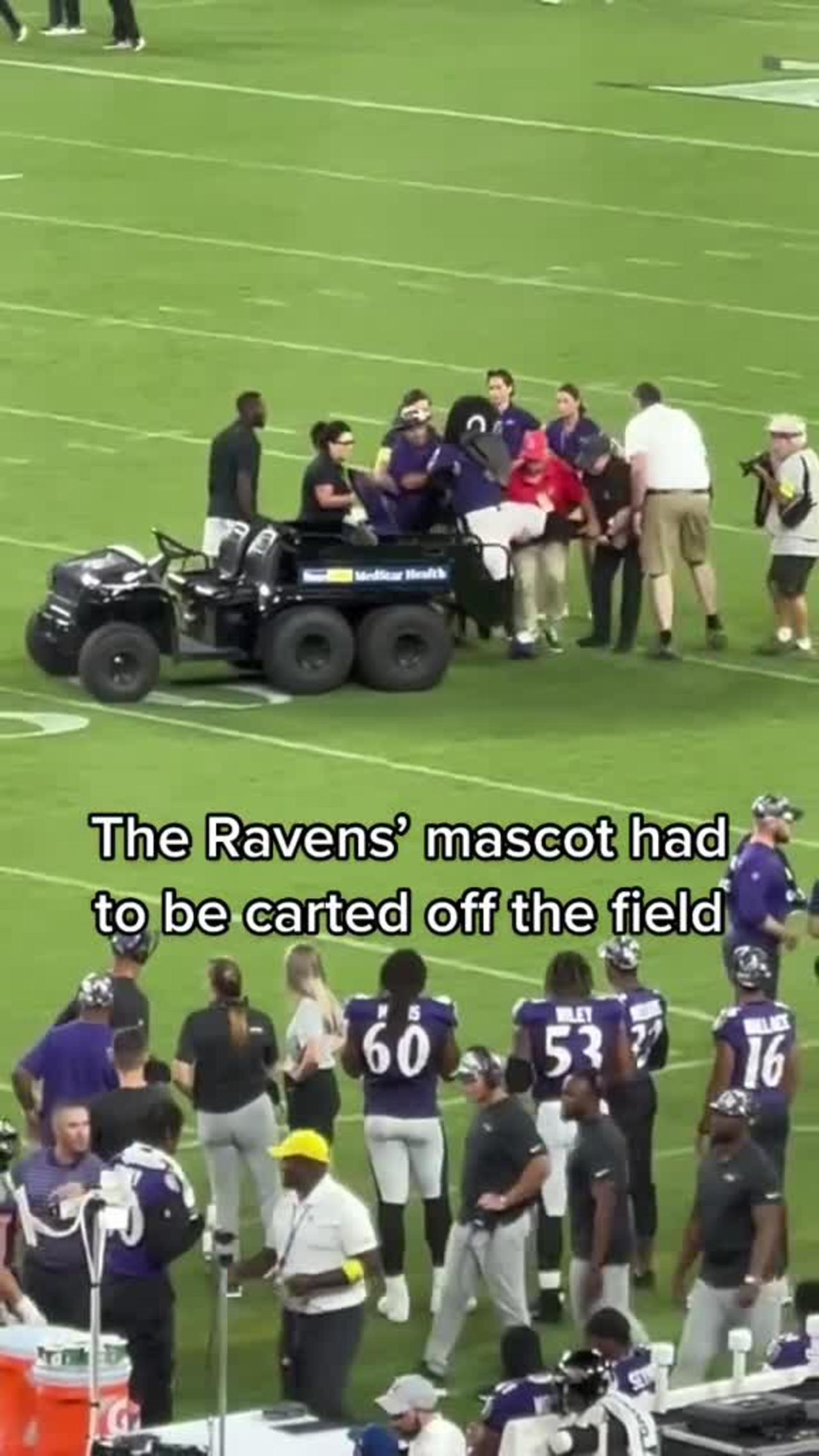 football#nfl#baltimore#ravens#fall#injury#mascot