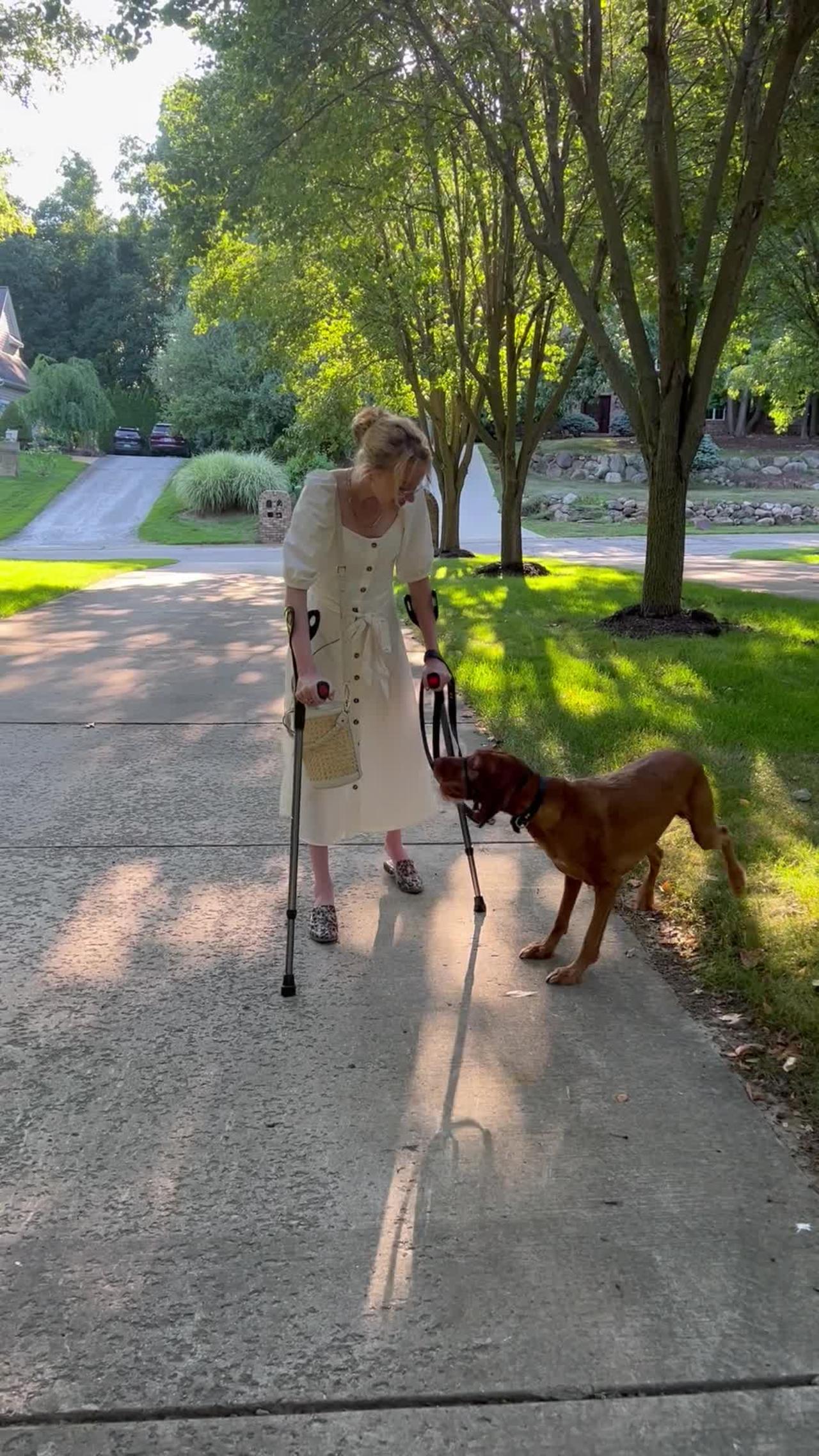 Service Dog Sees Owner Walk for the First Time