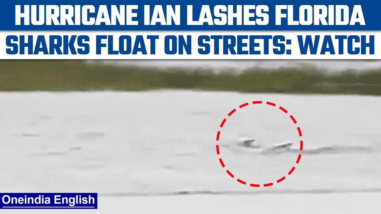 Hurricane Ian ravages parts of Florida; Joe Biden assures assistance | Oneindia News*International