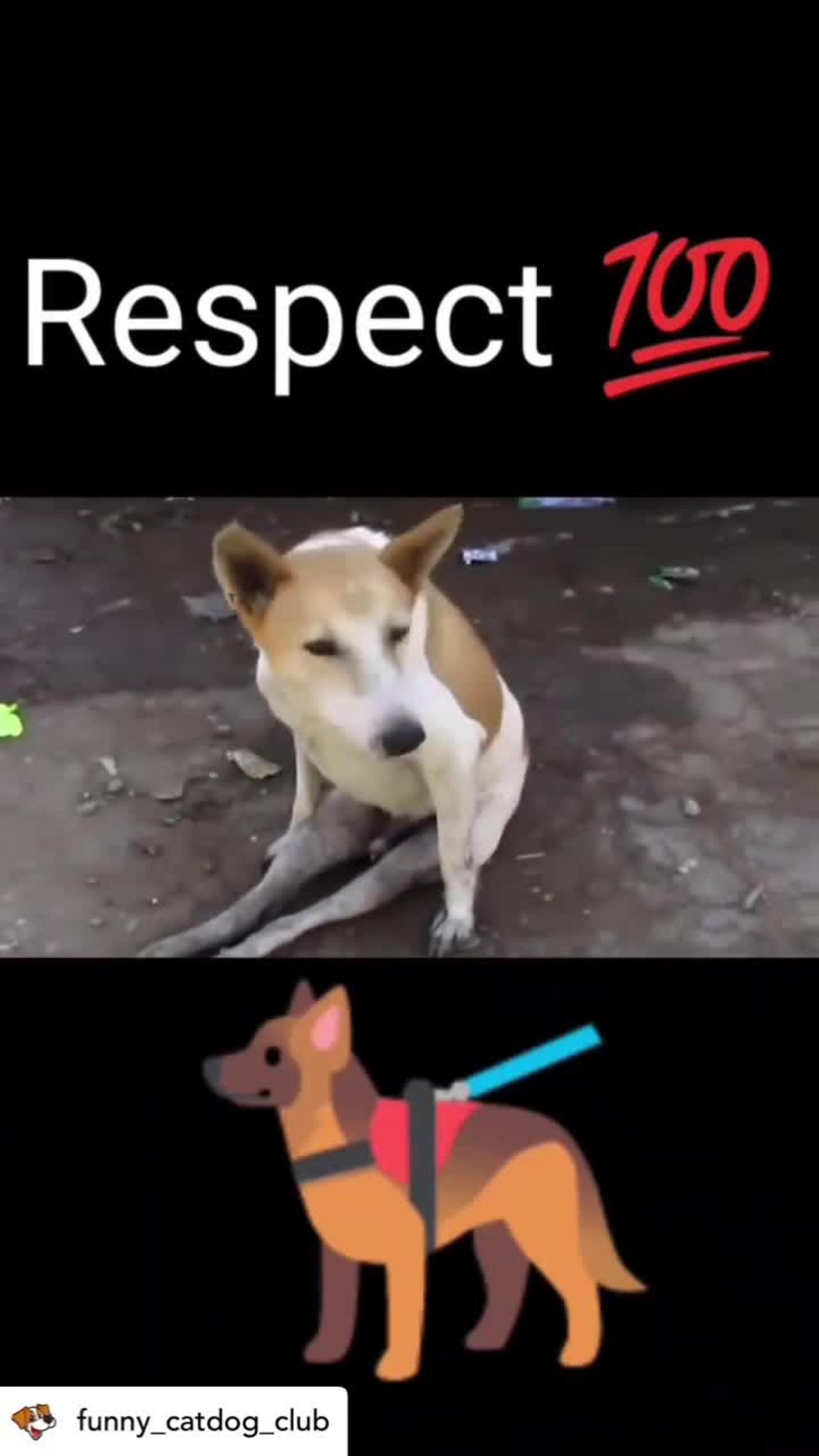 Respect 💯
