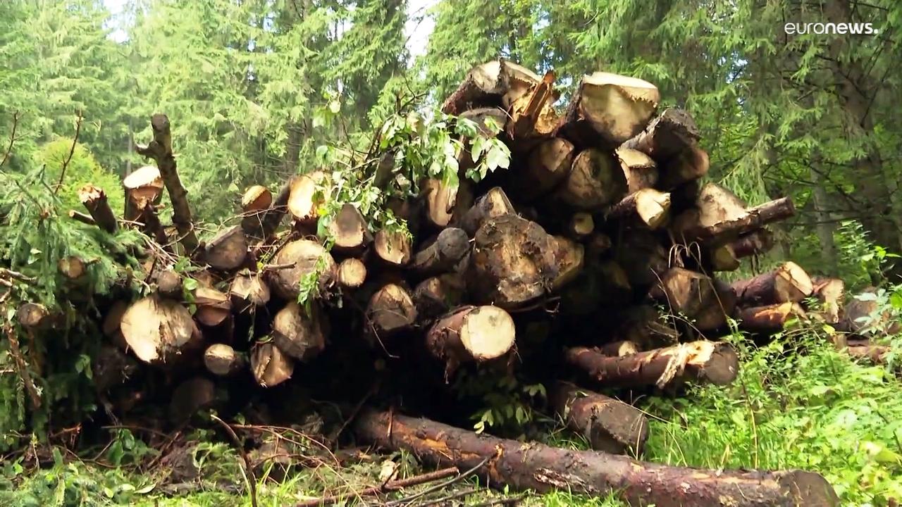 Demand for firewood soars in Austria amid gas supply fears