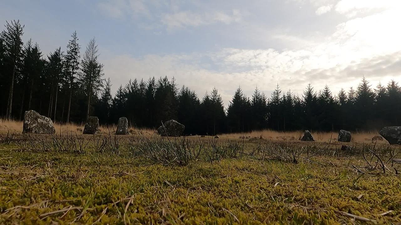 Ancient stone circle in a forest. DARTMOOR.  GOPRO.