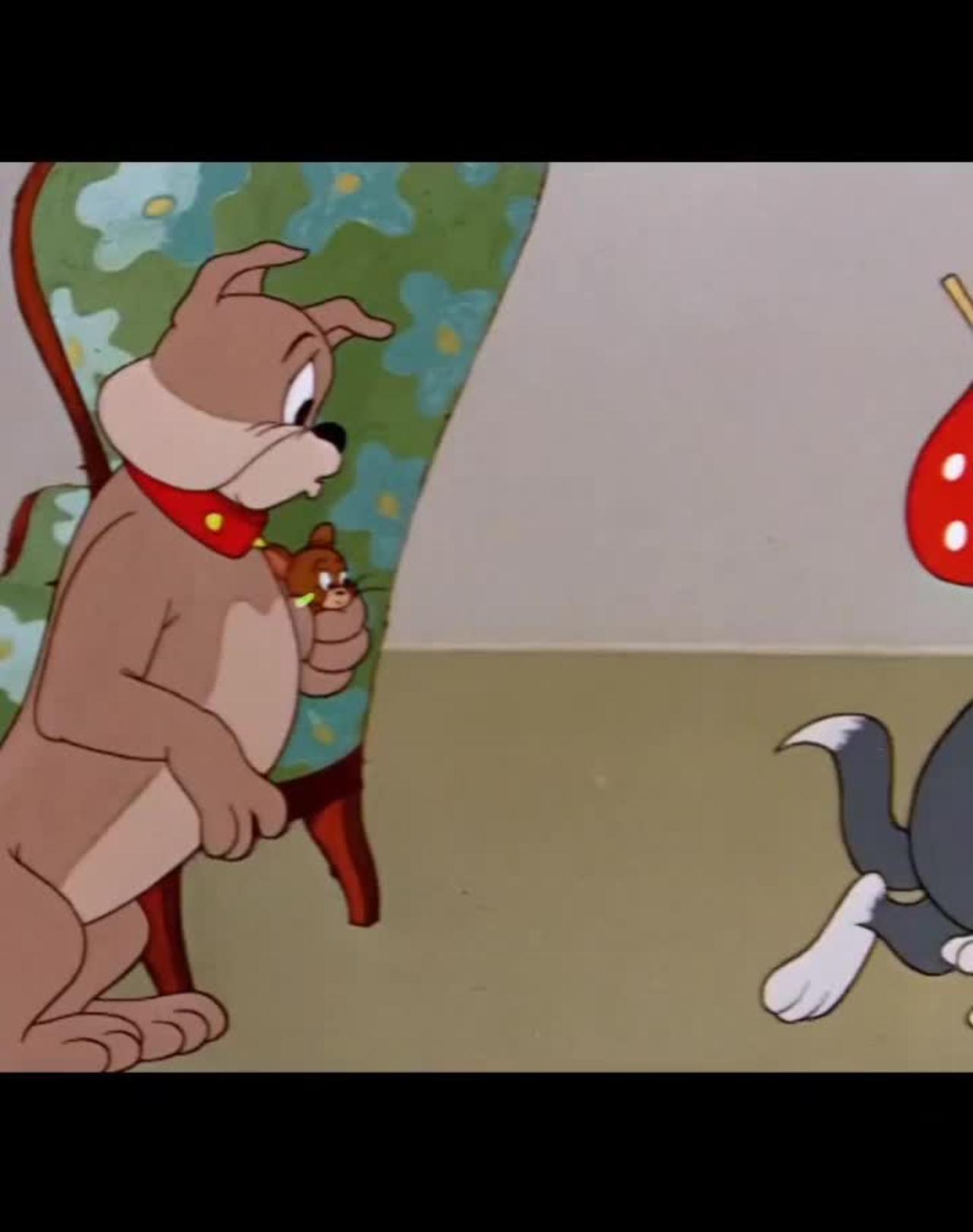 Tom and Jerry cartoon funny Video, kid's cartoon videos, cartoon funny Video