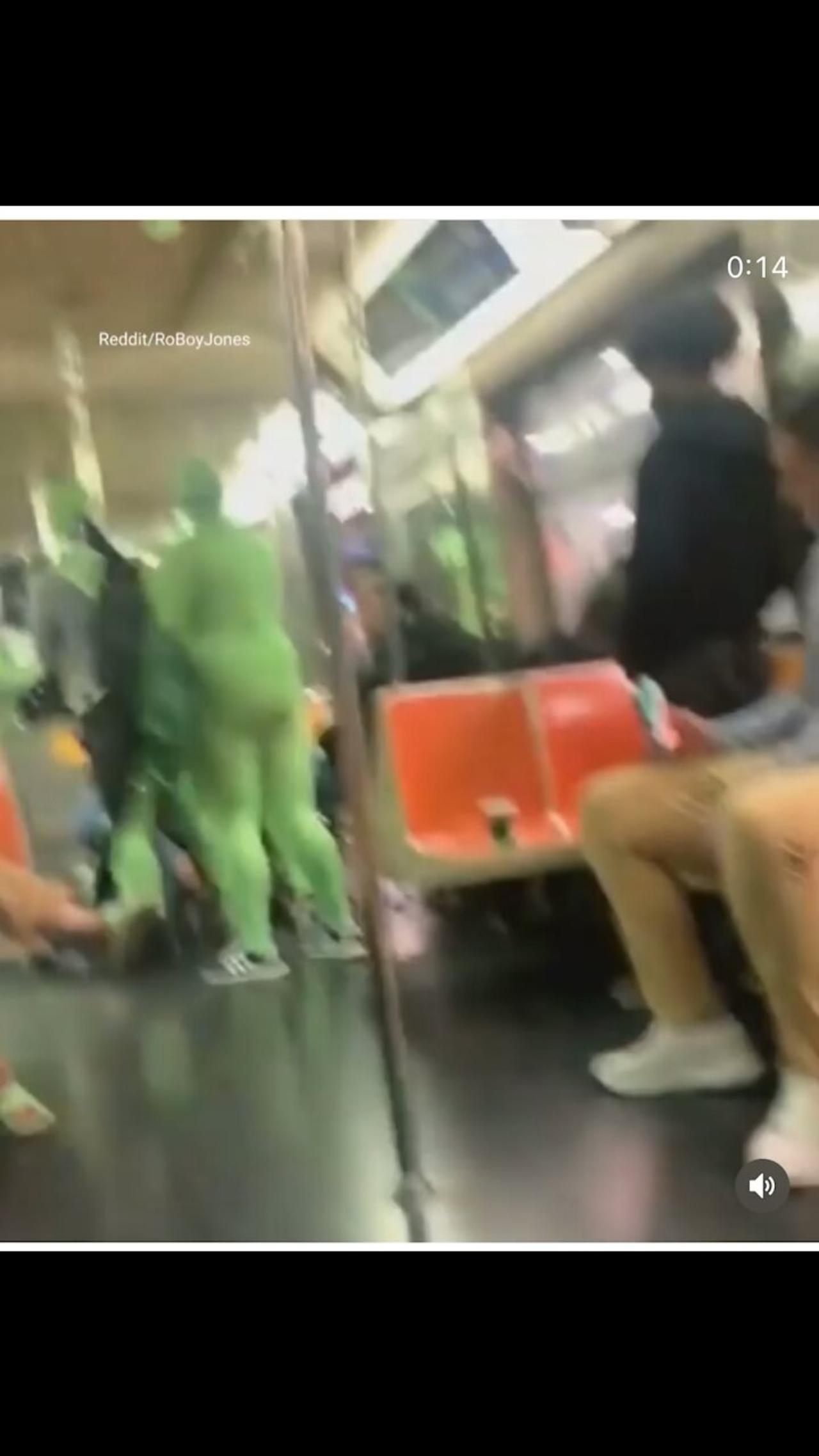 BLM - Gang Of Women in Green Bodysuits Terrorize NYC Subway