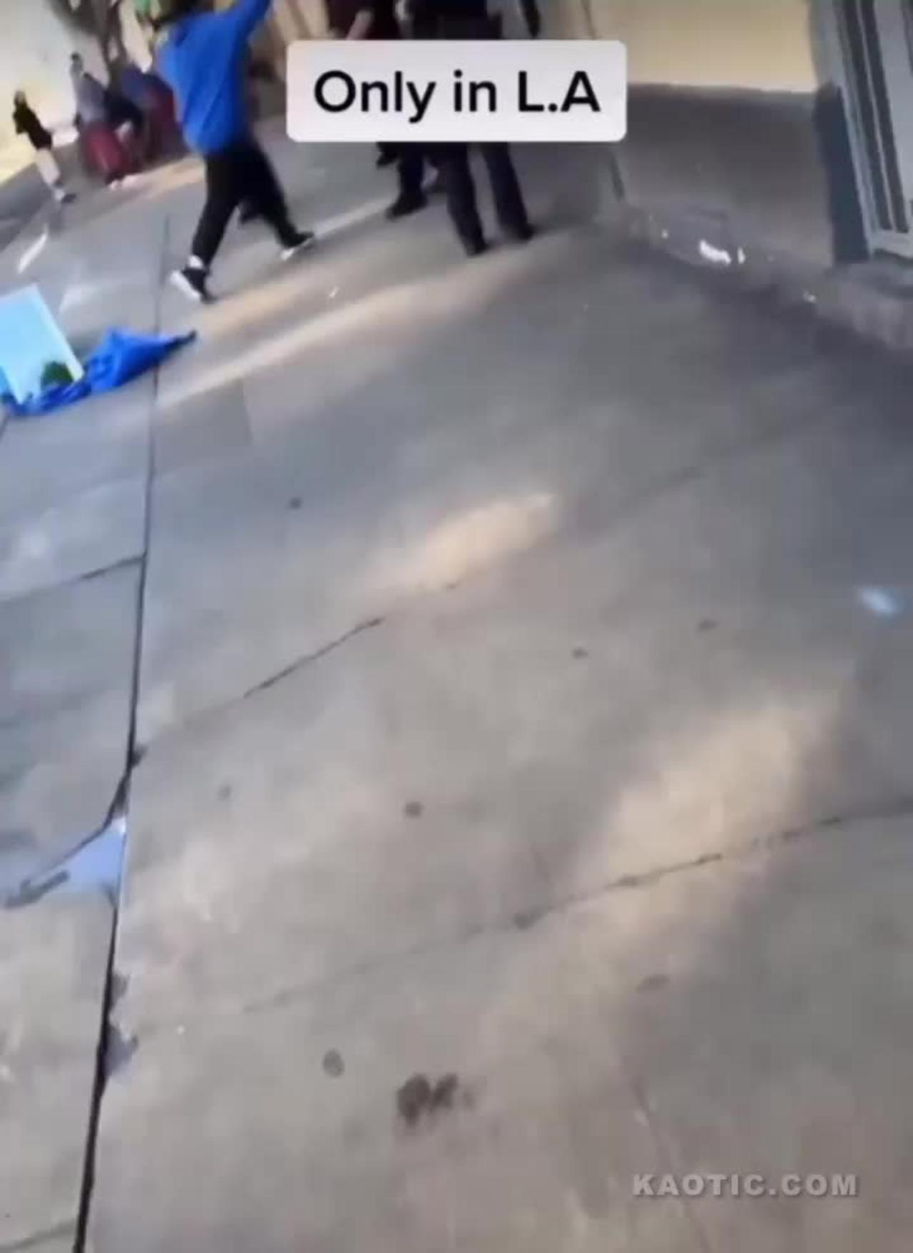 Man Gets Into The Fist Fight With Two LAPD Cops, Gets Tased