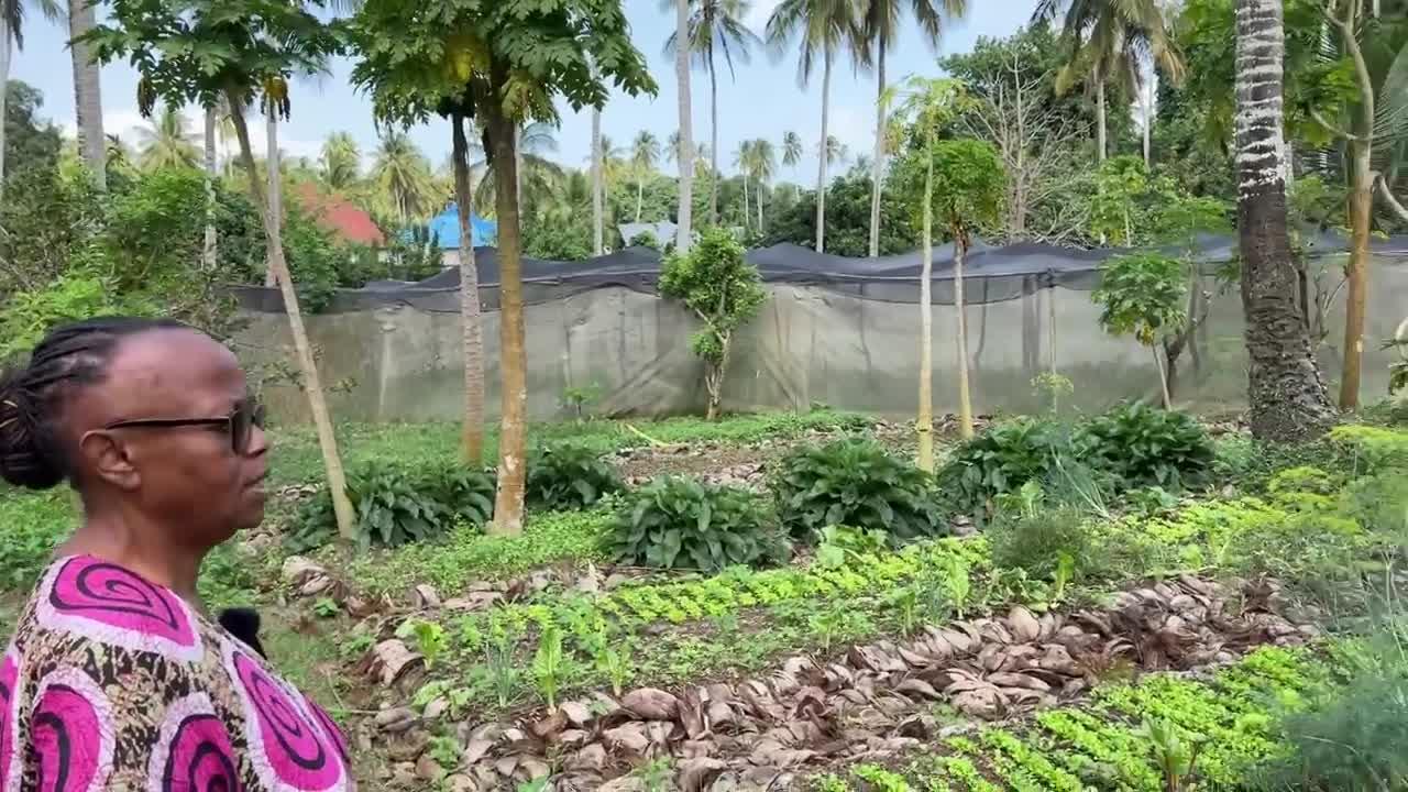 65 year old tanzanian farmer says it's not late to farm your own food