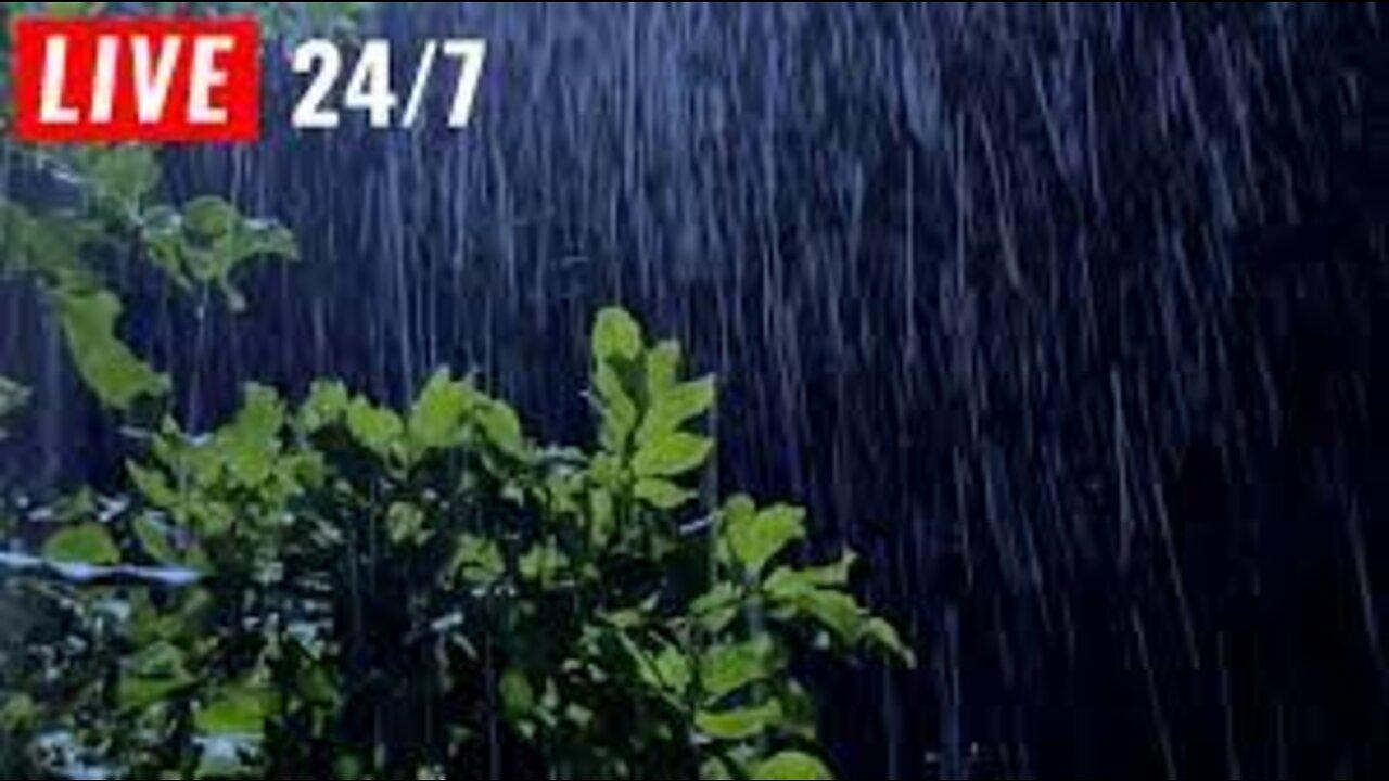 🔴 Rain on Leaves, Gentle Rain Sound to Sleep in 3 Minutes, Beat Insomnia, ASMR Rain