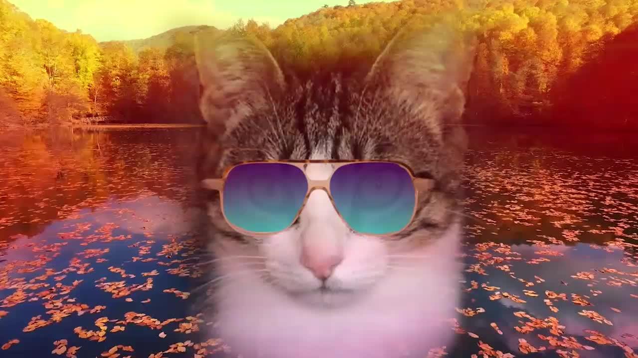 Kool Kat Vibes Presents Autumn Leaves on a Lake: Soothing Music and Relaxing Images of cool cats