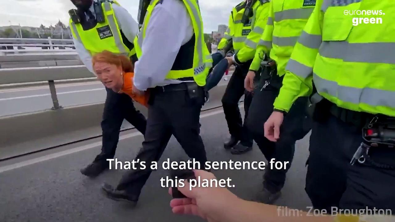 ‘For my son’: Just Stop Oil protester whose arrest went viral on why she chose to get arrested
