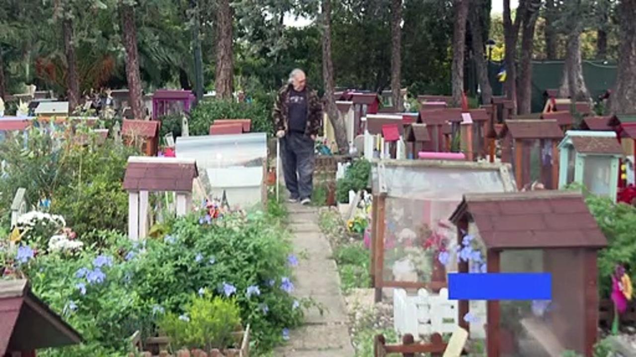 Roman pet cemetery where Mussolini buried a pet chicken turns 100