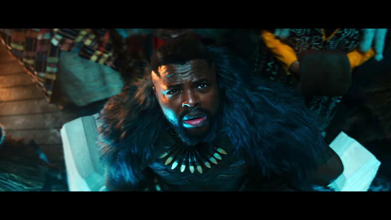 Black Panther Wakanda Forever Movie - Fight