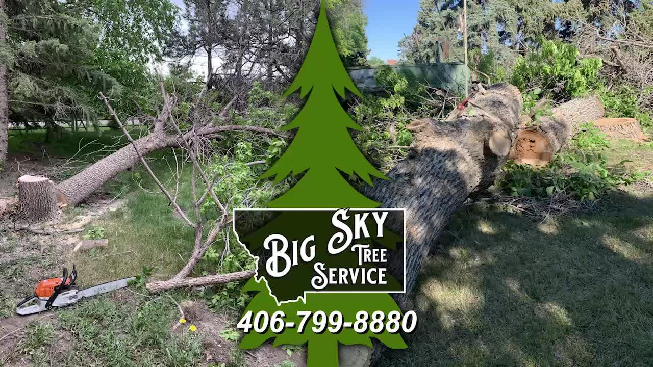 Big Sky Tree Service