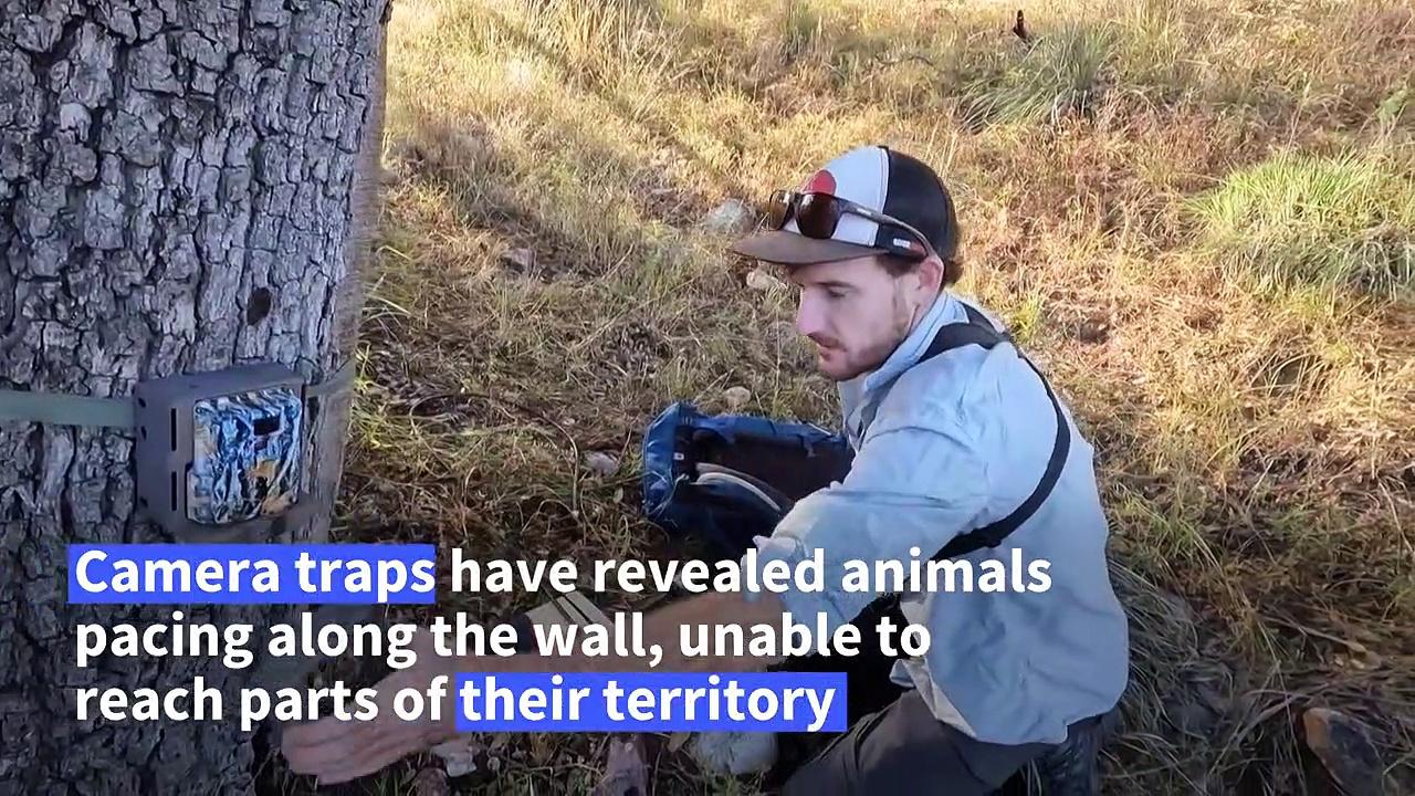 Protecting wildlife along the US-Mexico border