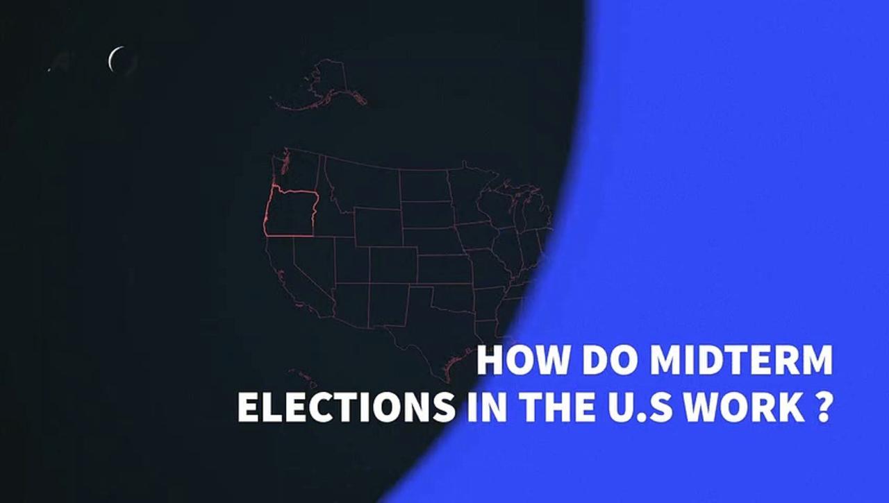 How do the midterm elections in the US work?