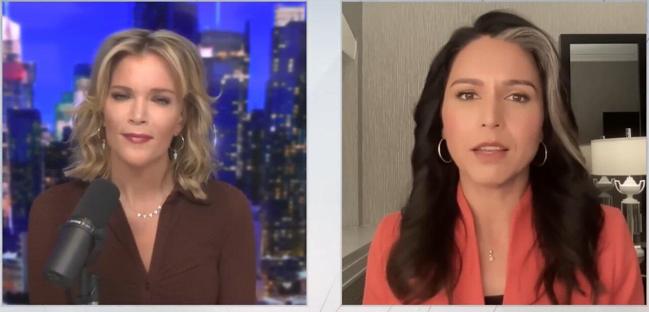 Tulsi Gabbard explains to Megyn Kelly why she left the Democratic Party