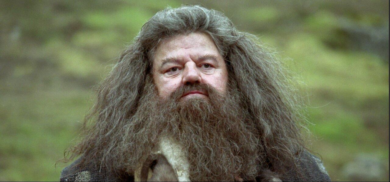 Robbie Coltrane, actor who played the Hagrid in the Harry Potter has died at 72