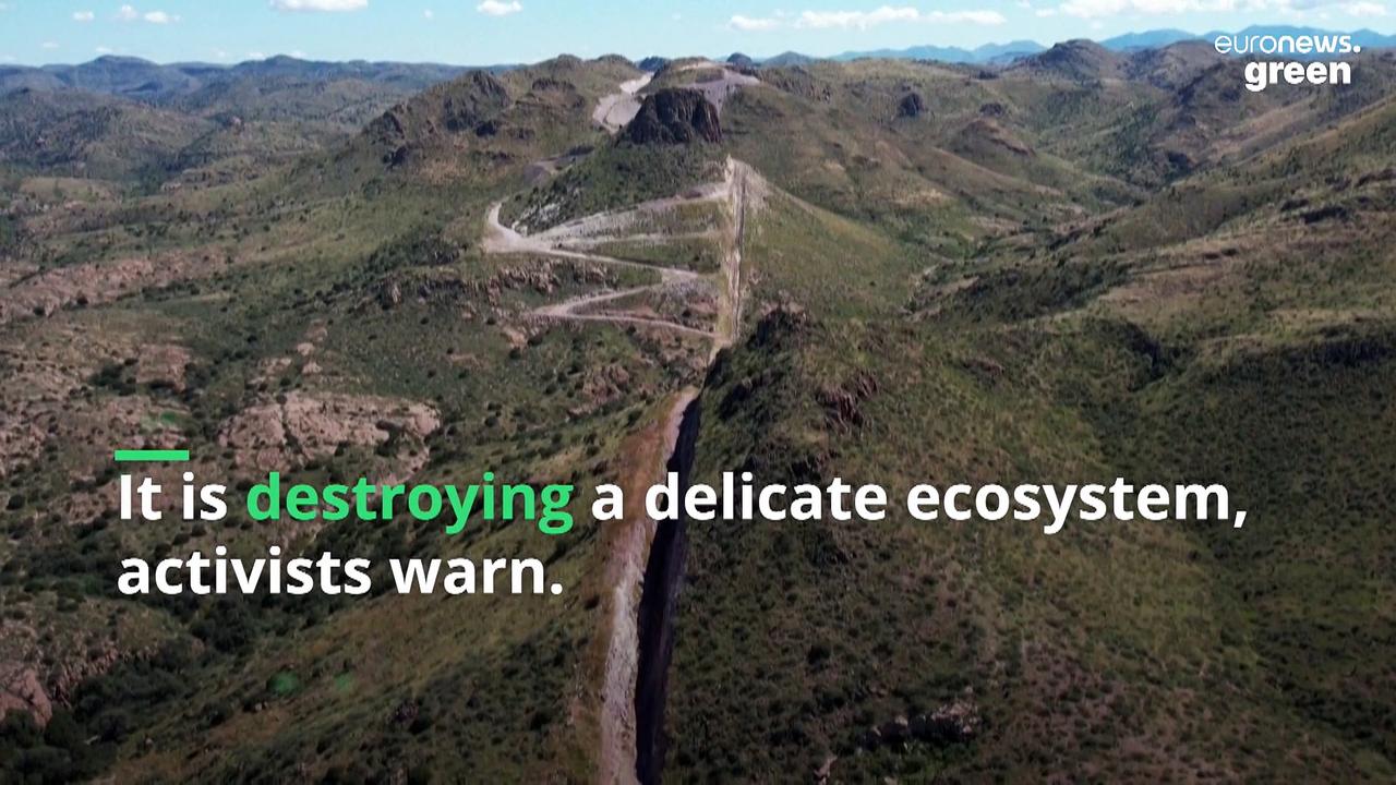 ‘Ecocide’: The US-Mexico border wall is blocking the movement of wild animals 