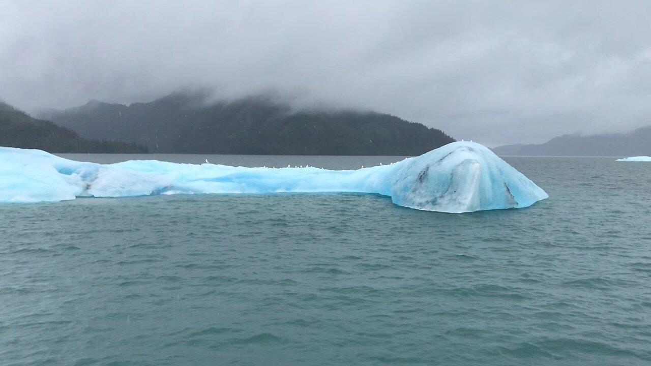 ICEBERG!! Prince William Sound, Valdez Alaska 2022