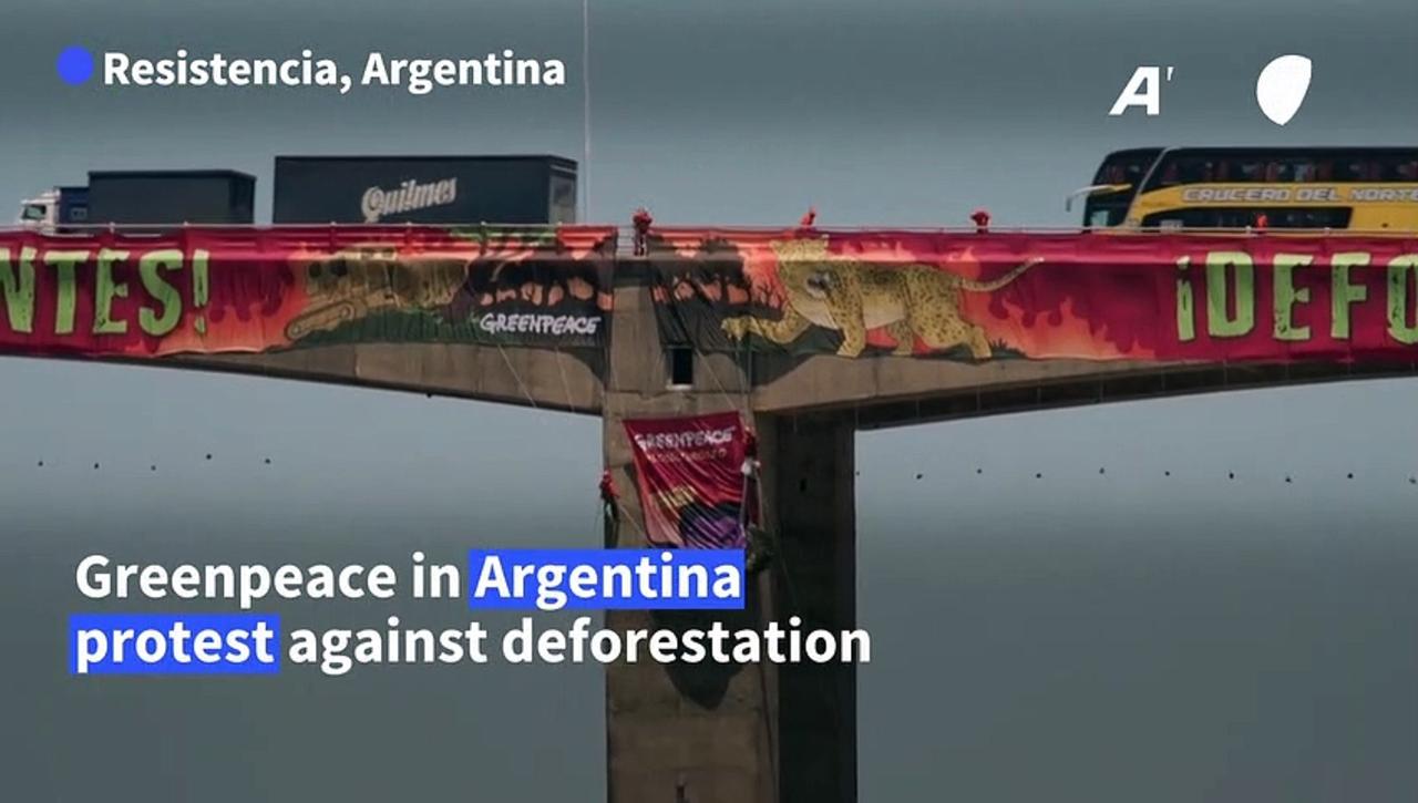 Argentina: Greenpeace protest deforestation to protect jaguars