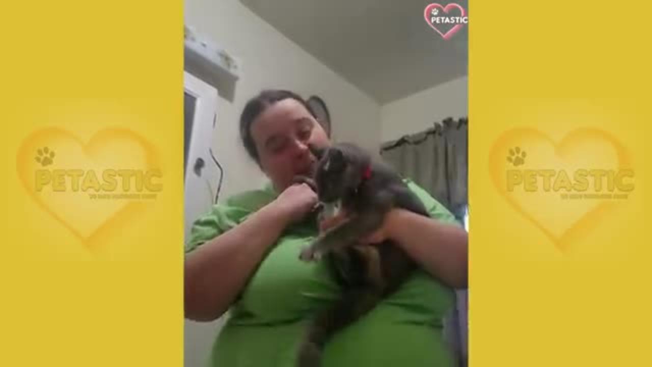 Cats being JERKS! Savage cats attacking people complication