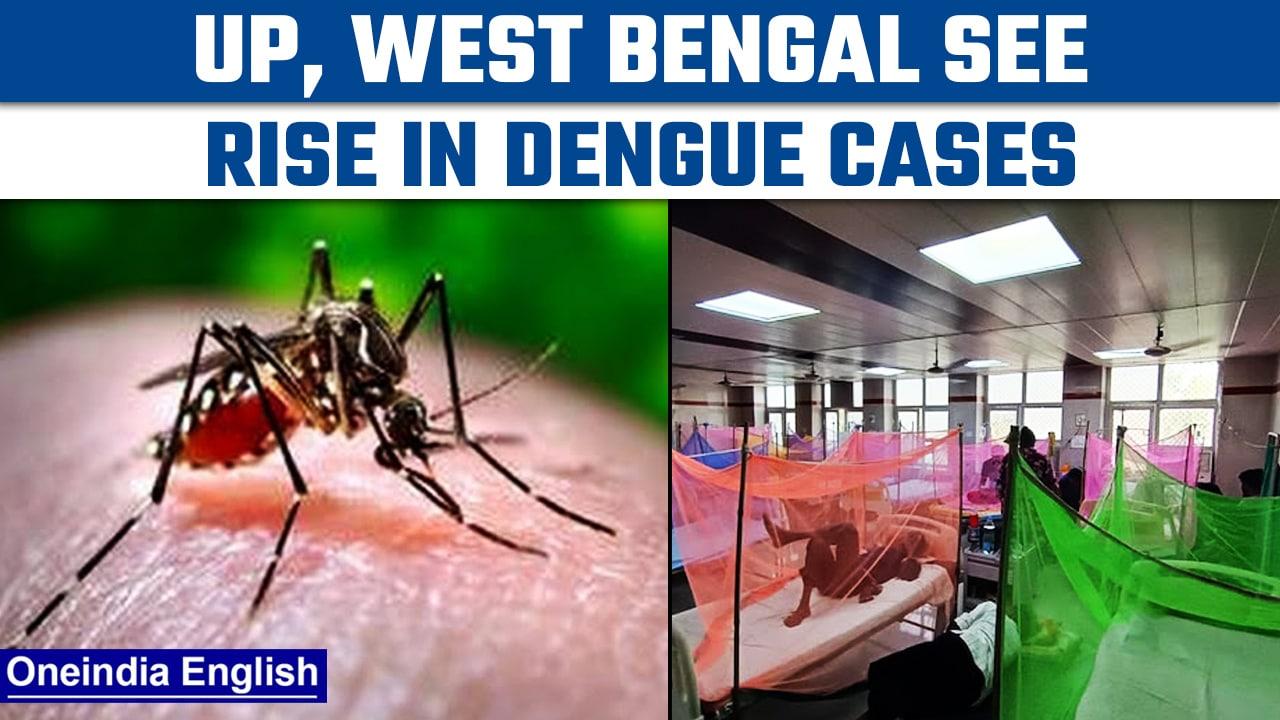 UP, Bengal among other states witness dengue outbreak in several districts | Oneindia News *News