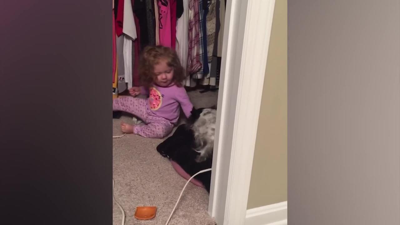 Cute babies playing with puppies Compilation of videos