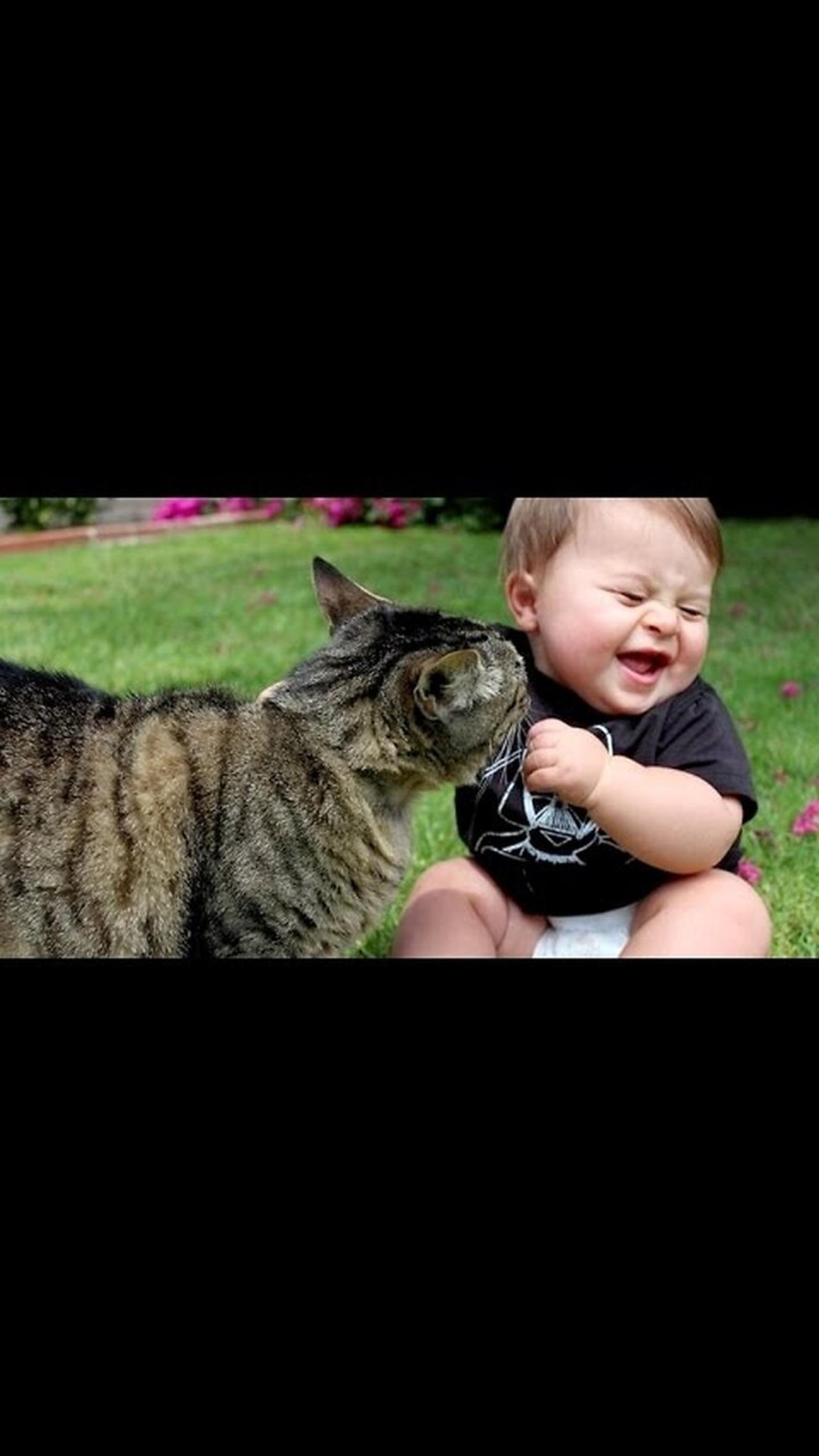 Baby and cat fun and cute- funny baby videos