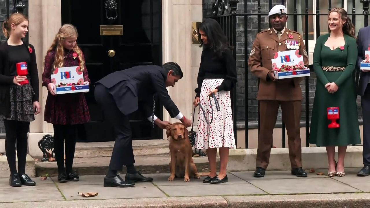 PM buys poppies outside 10 Downing Street