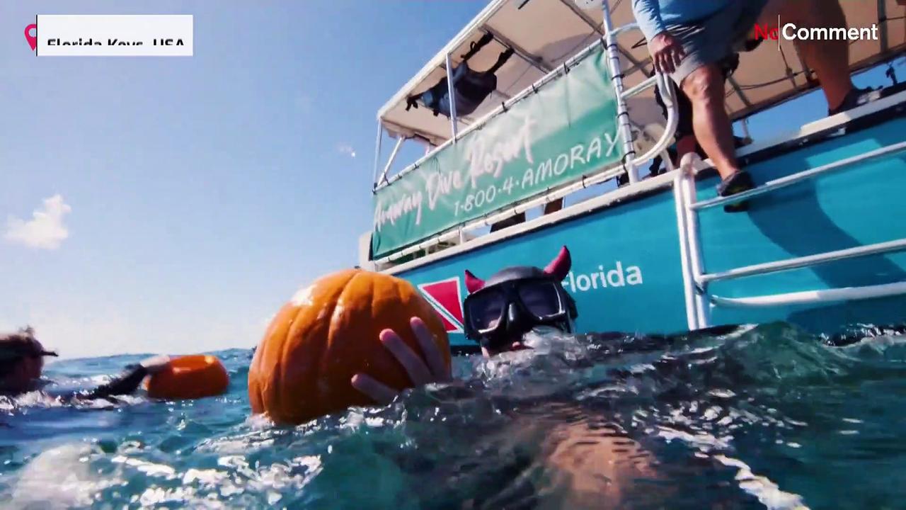 US: Divers carve Halloween pumpkins underwater in Florida