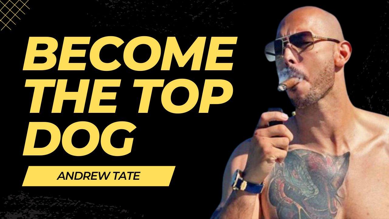 Become the TOP DOG - Andrew Tate Motivation