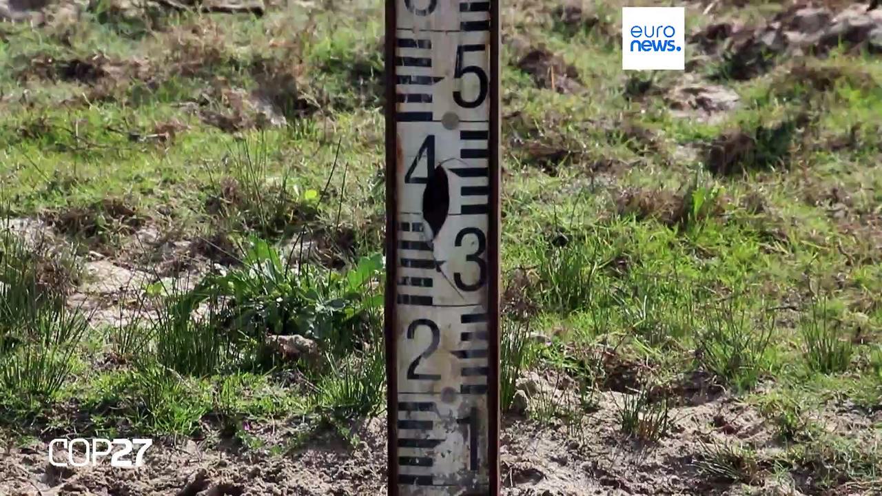 Spain’s Doñana wetlands are drying up