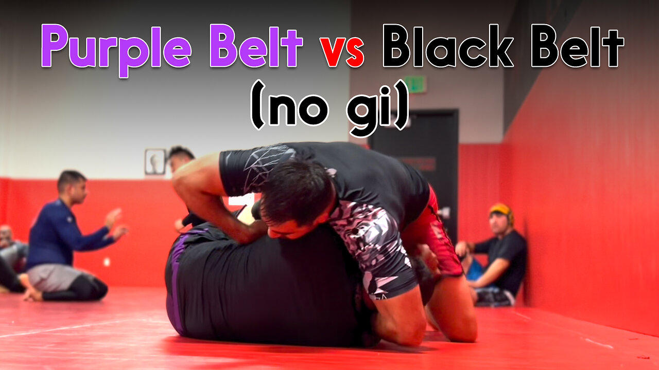 Purple Belt vs Black Belt [no gi] Circadian One News Page VIDEO