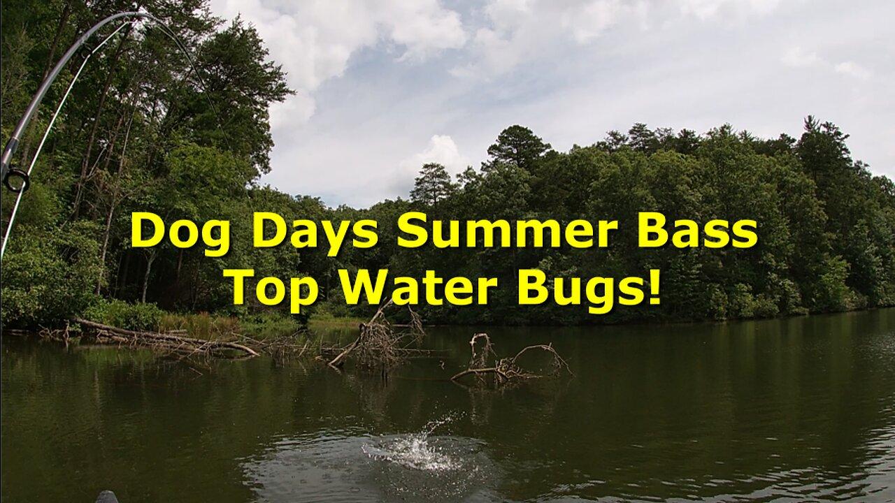 Dog Days of Summer Bass on the Fly - Earning every Scale!
