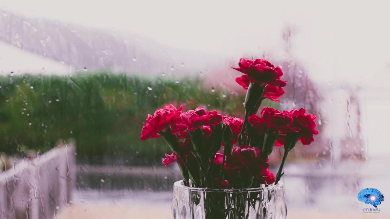 eYe KWU - Rain Drops On Rose Petals Sleeping Soothing Relaxing Meditation & Yoga Healing Spirit Soul