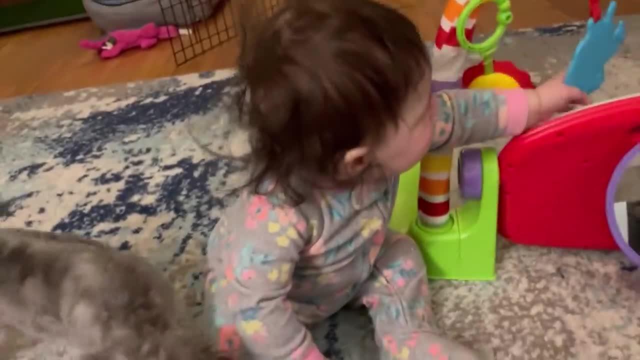Cutest Babies Play With Dogs And Cats Compilation  - funny