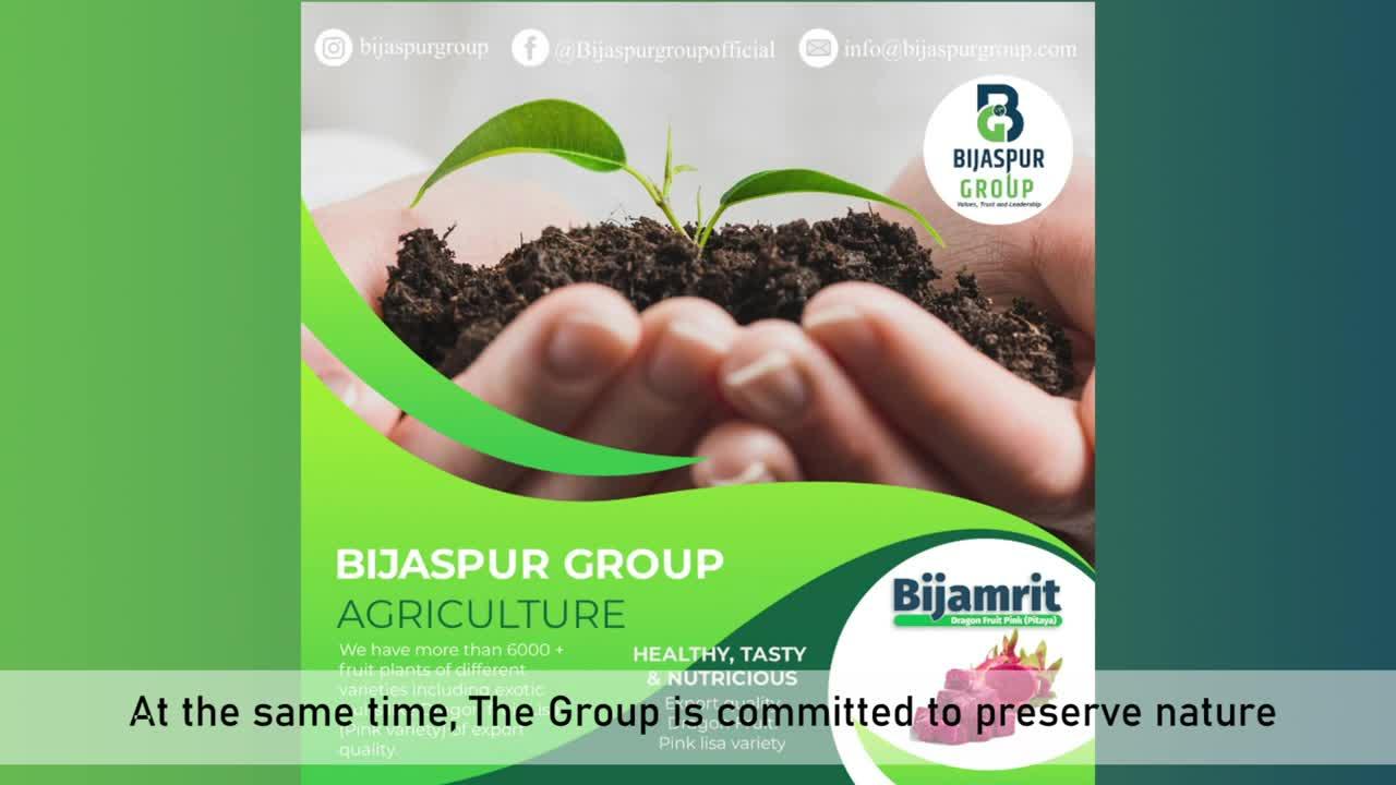 Bijaspur Group Introduction