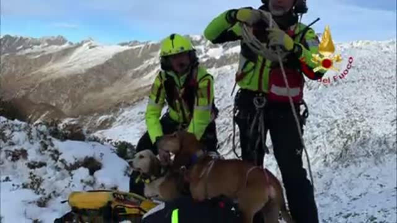 Nel bresciano due cani dispersi salvati con l’elicottero a 2300 metri di quota