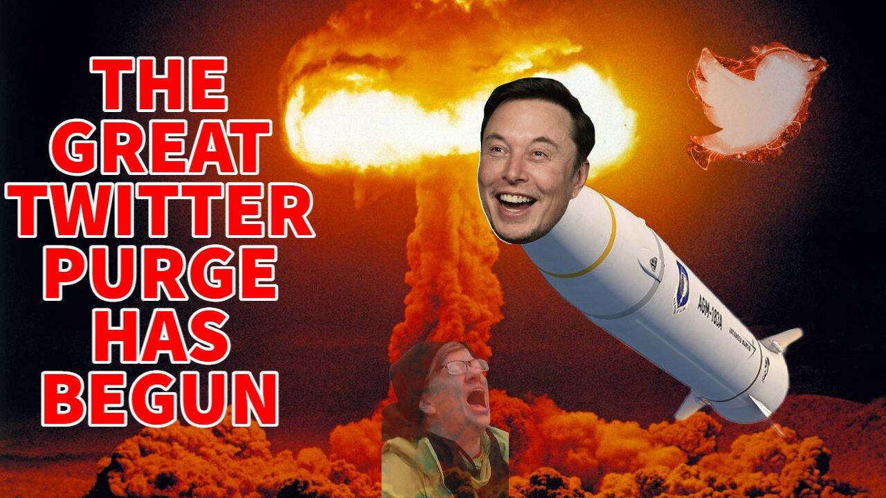 Elon Musk Has Fired HALF Of Twitter's Global Staff!